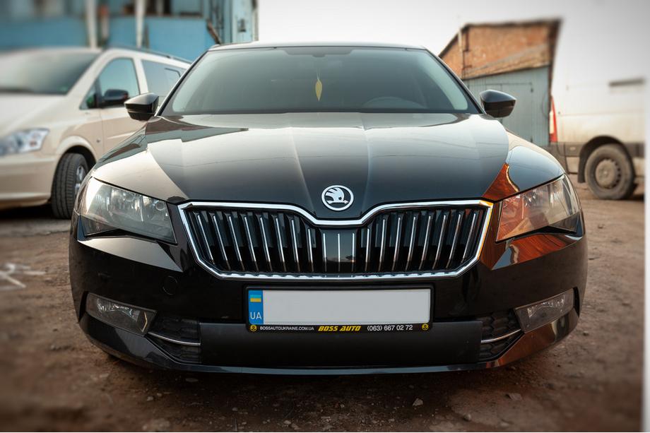 Skoda Superb 2015-2024 Zimowa osłona kratki (2015-2019, dolna) Błyszczący Image