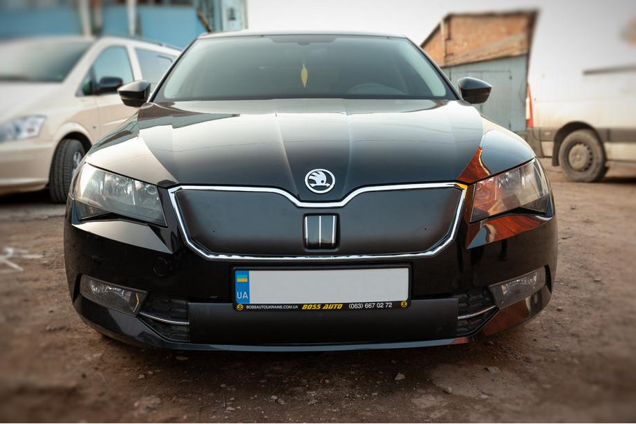 Skoda Superb 2015-2024 Zimowa osłona kratki (2015-2019, dolna) Błyszczący Zdjęcia 2