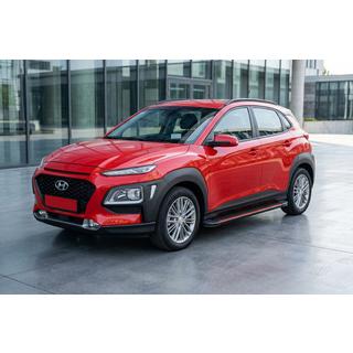 Progi Boczné Maya Red (2 szt., Aluminium) zdjęcia 1