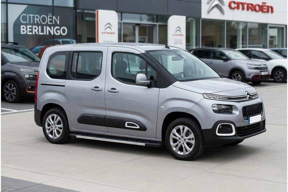 Citroen Berlingo/Multispace 2018- Progi Boczné Duru (2 szt., Aluminium) Image