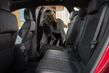 Nowa generacja kompaktowego crossovera Ford Kuga zdjęcia 10