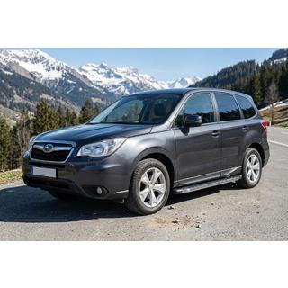 Progi Boczné BlackLine (2 szt., Aluminium) zdjęcia 1