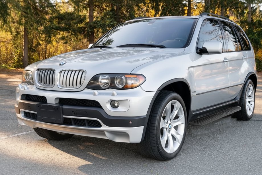 BMW X5 E53 1999–2006 Progi boczne Tayga Black (2 szt, aluminium) Image