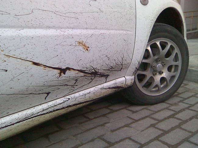 Jak wyczyścić samochód z bitumu?