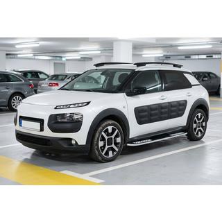 Progi Boczné Tayga V2 (2 szt., Aluminium) zdjęcia 1