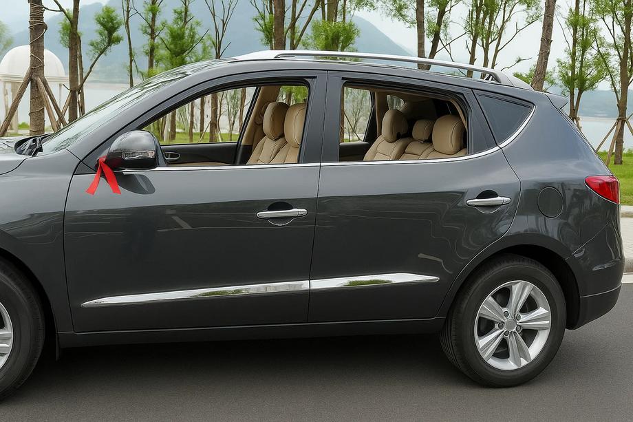 Geely Emgrand X7 2011- Listwy drzwiowe Libao (4 szt, plastik) Image