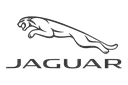 brand icon
